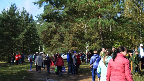 В Серпуховском районе прошла акция по посадке леса