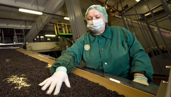 Рабочие обеспокоены судьбой серпуховской «чайной фабрики»