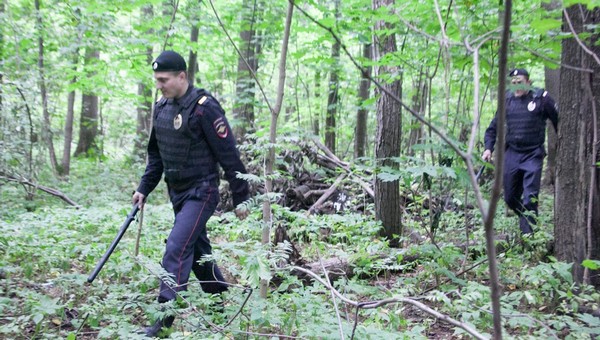 Тело женщины найдено в лесу под Подольском