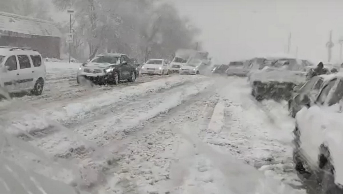 В Ростовской области снежный буран парализовал движение тысяч автомобилей
