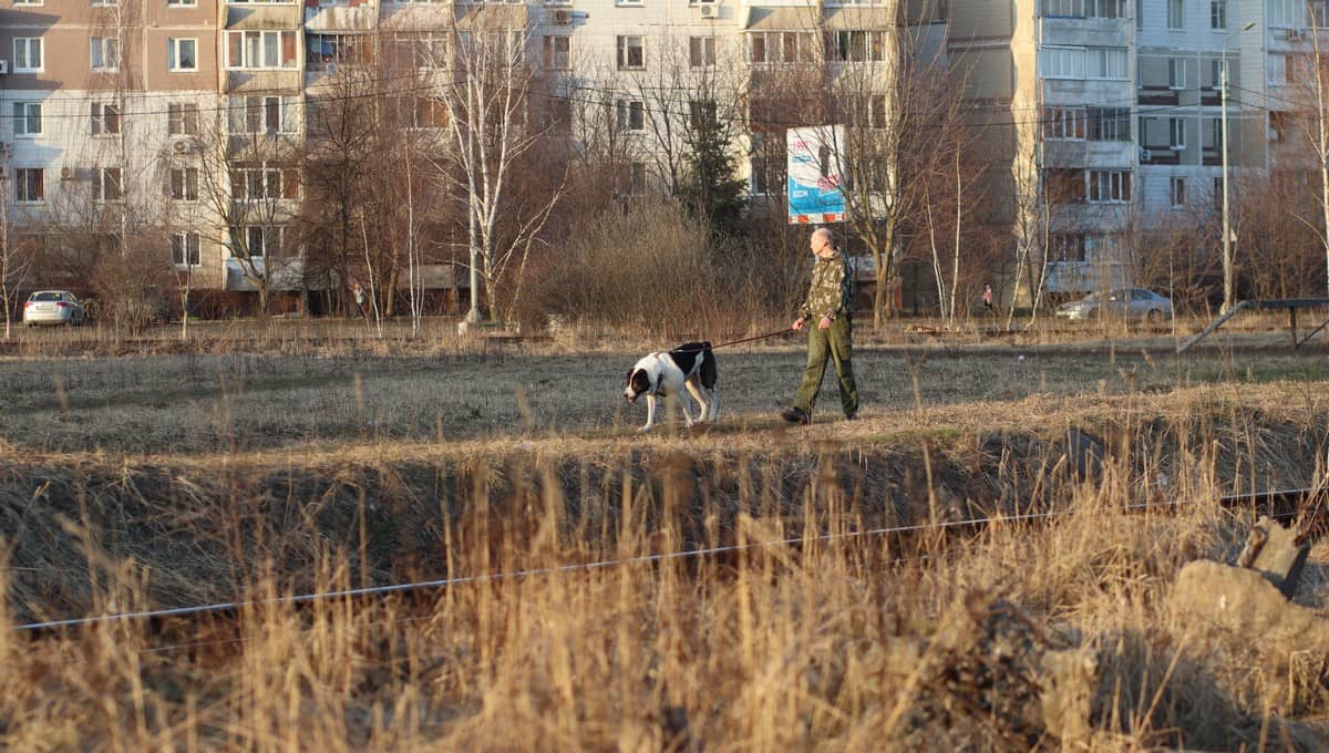 В Подмосковье началось нашествие клещей