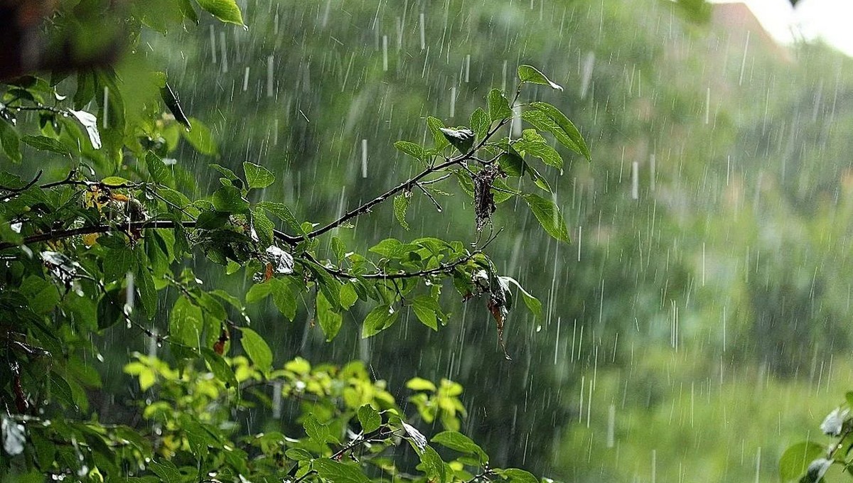 Примечайте: дождь в этот день – ещё сорок дней жди ненастья