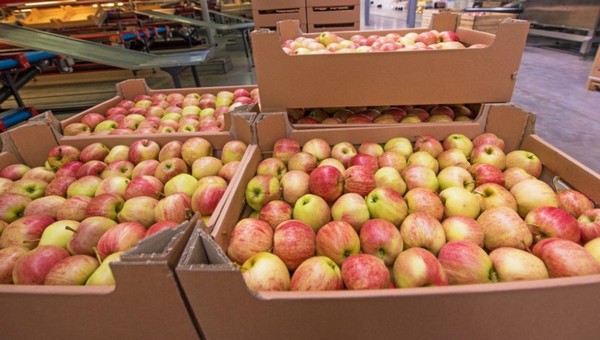 В московском супермаркете яблоки спасли мужчину от гибели
