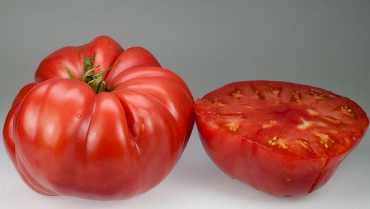 Семерка самых вкусных, сладких и ароматных сортов томатов