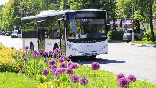Автобусы в Подмосковье будут ходить по изменённому графику