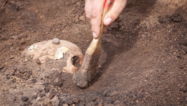 В Подмосковье при раскопках нашли огромную могилу с мрачным содержимым