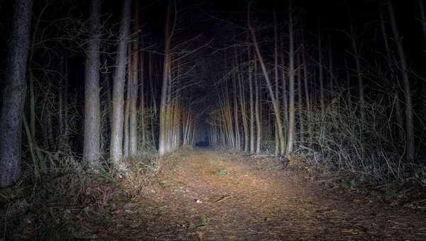 В Подмосковном лесу обнаружили нечто мистическое и пугающее