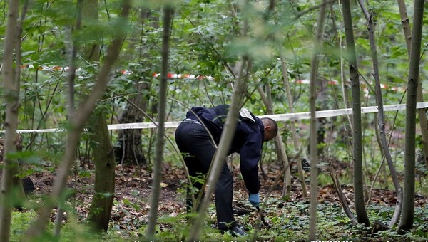 СМИ: в Чехове в лесу найден мёртвый мужчина