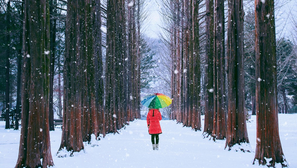 Частичная зима: синоптик Тишковец рассказал, будут ли лютые морозы в начале января