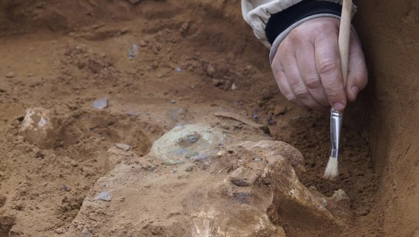 На раскопках под Серпуховом найдены древние артефакты