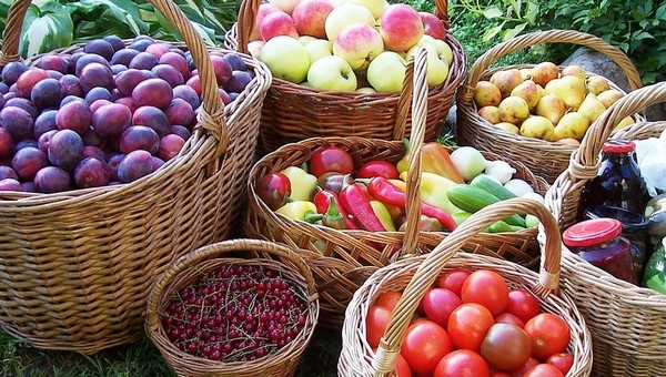 Не собирайте урожай фруктов и овощей в эти три запретных дня