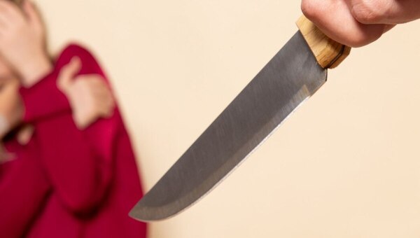 Школьница в Подмосковье пырнула младшего брата ножом