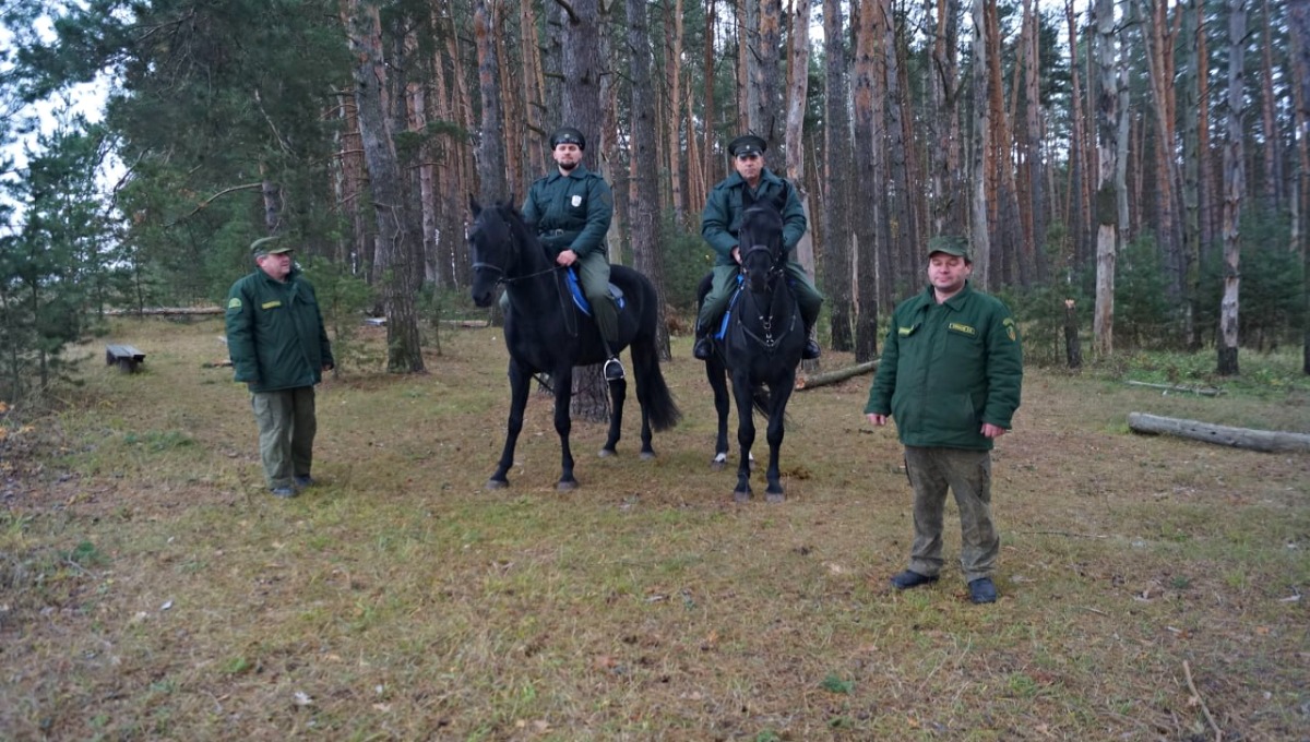 В серпуховские леса вышли совместные патрули 