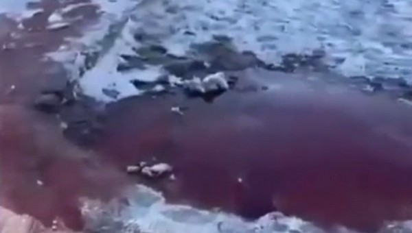 В одном из регионов России появилась кровавая река в прямом смысле