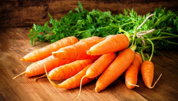 Подкормка моркови в августе: быть или не быть?