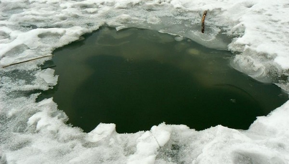 Эти водоемы в Подмосковье опасны!