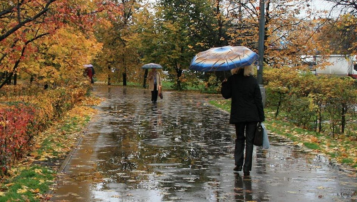 Проливные дожди вот-вот обрушатся на Подмосковье и Москву