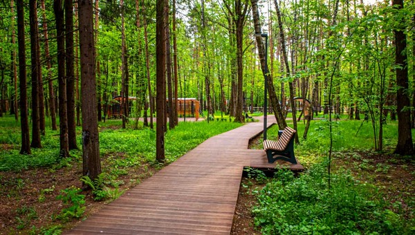 6 парков в Московской области благоустроят в этом году