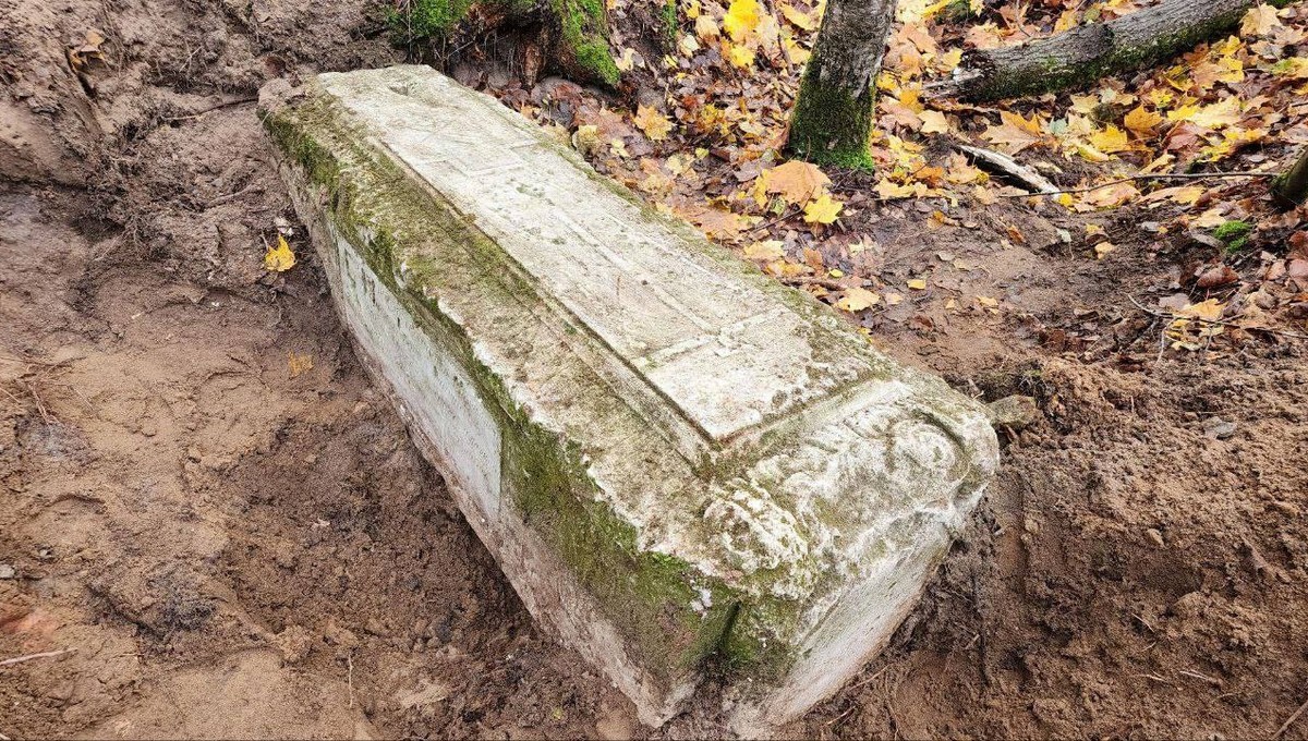 В лесу под Москвой нашли загадочную могилу секретарши