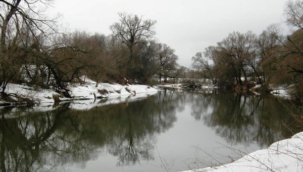 Река Протва оказалась загрязнена выше нормы в десятки раз