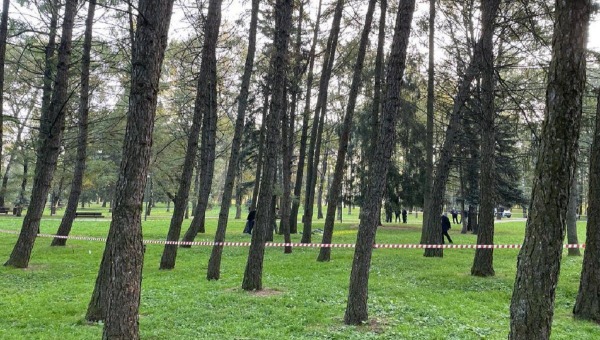 В одном из московских парков прохожие наткнулись на обезглавленный труп