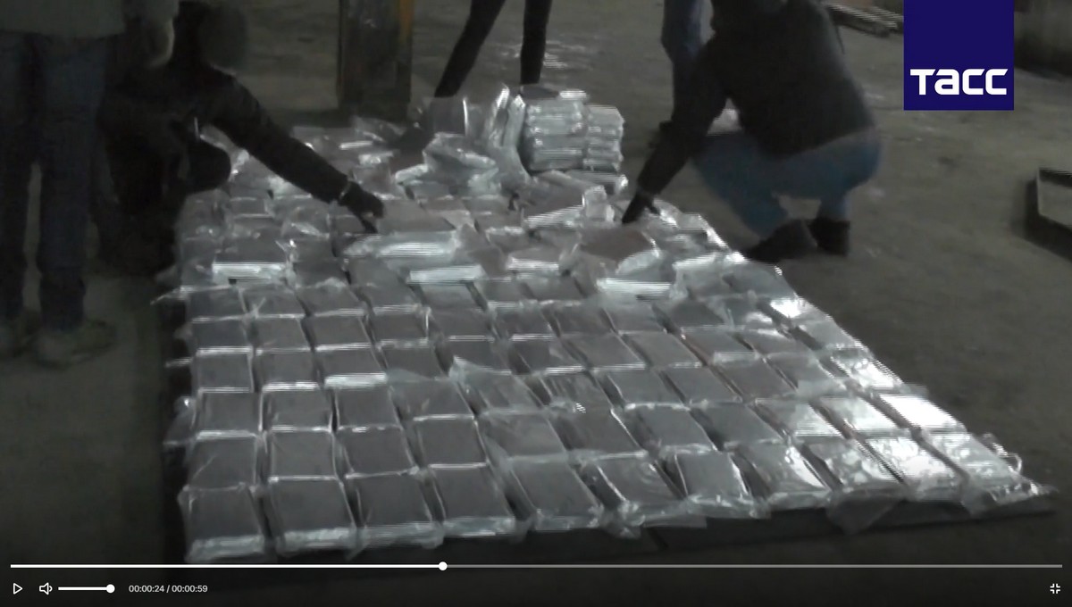В Подмосковье изъяли крупнейшую партию кокаина за последние годы