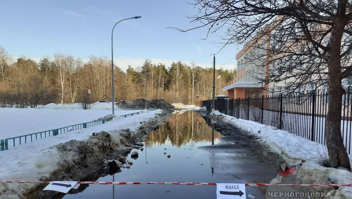 В подмосковном городе ученикам надо плыть, чтобы попасть в школу 