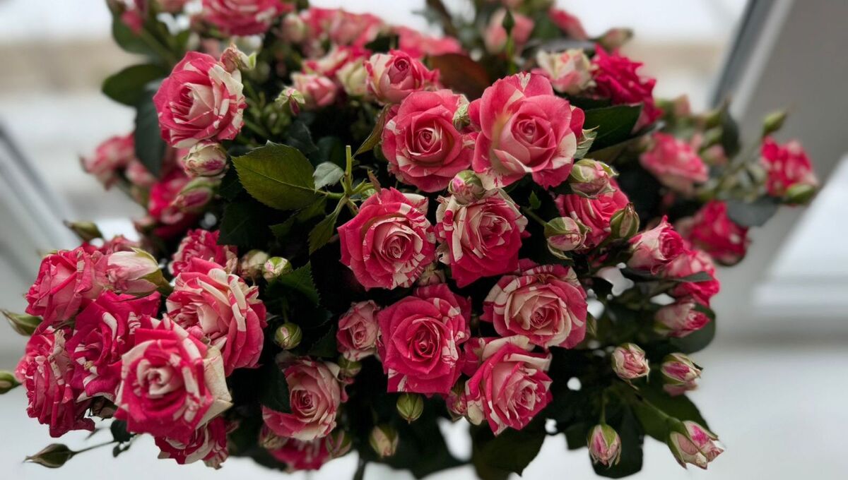 Необычный и простой способ, чтобы розы в вазе долго были свежими