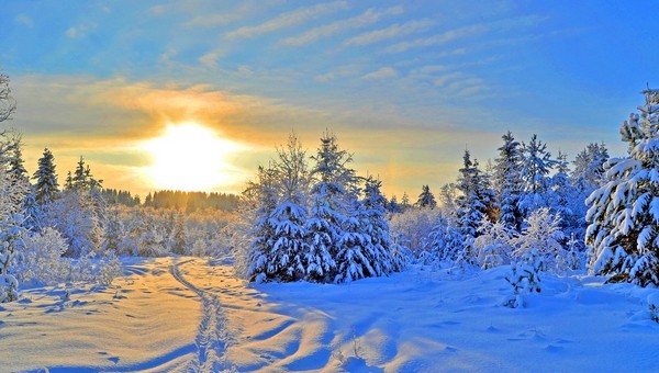 Синоптик Шувалов: конец ноября будет морозным и солнечным