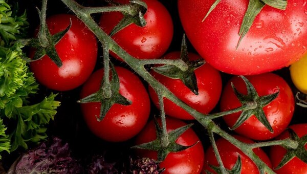 Эти сорта кистевых томатов поразят урожаем и порадуют вкусом