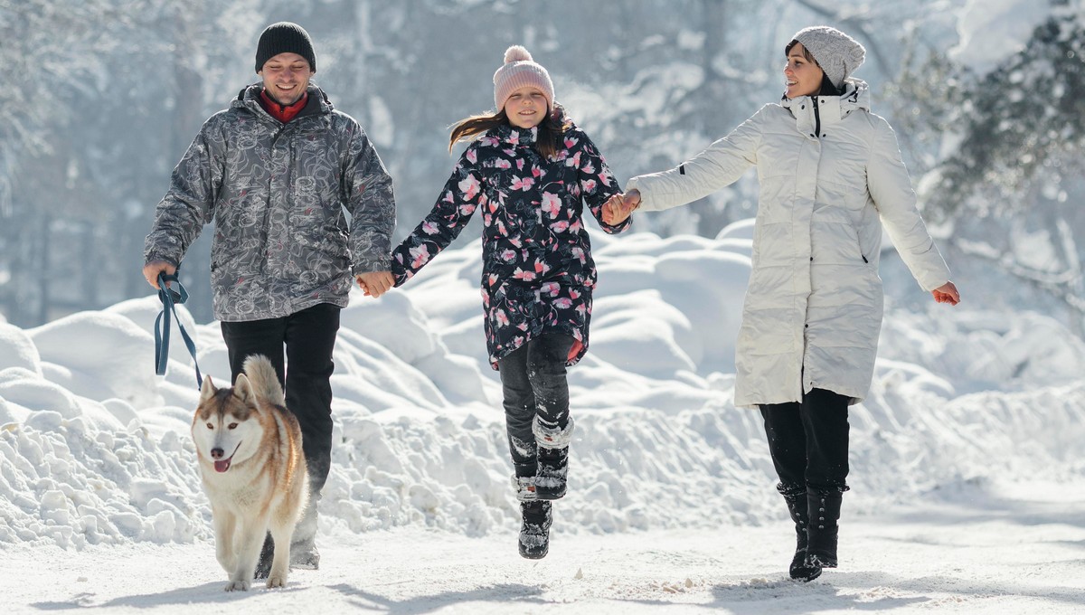 Мягкая зима: синоптик Вильфанд назвал 2 лучших дня для прогулок в Подмосковье на этой неделе