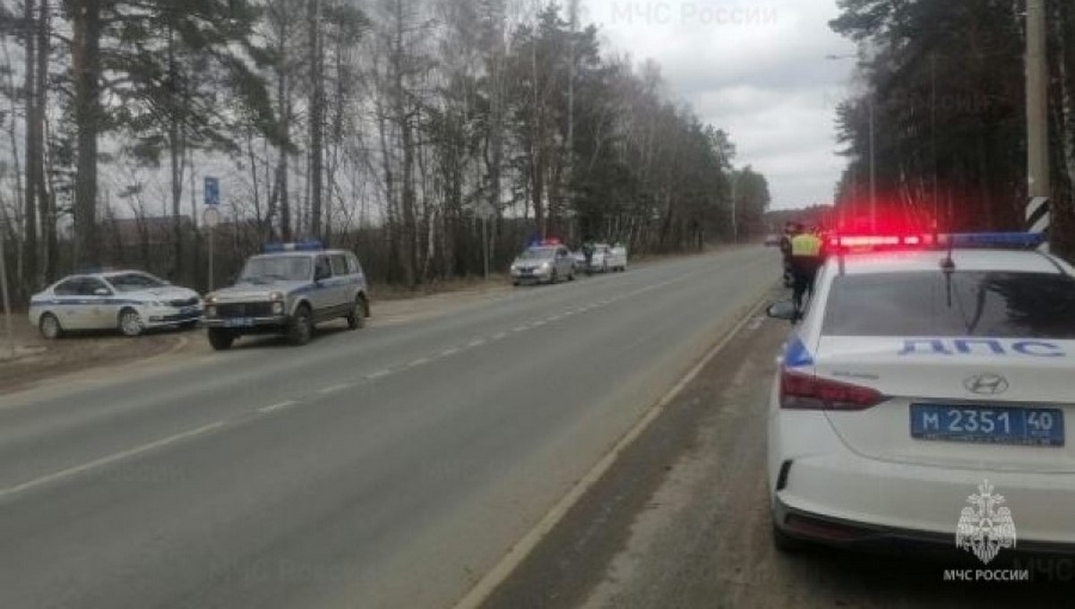 Москвичка направила автомобиль в инспектора ГИБДД на обочине