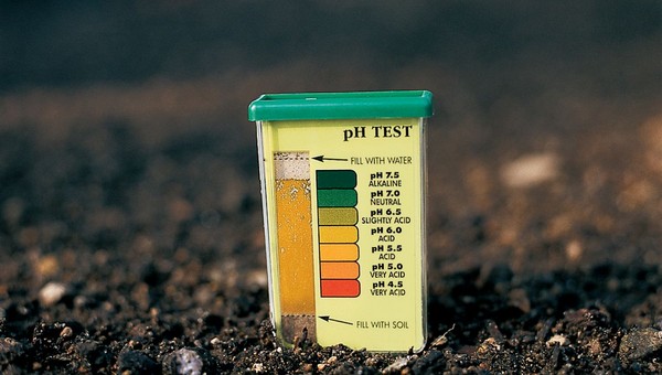 Определите кислотность почвы на участке буквально за одну минуту