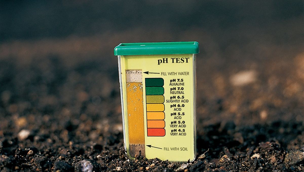 Определите кислотность почвы на участке буквально за одну минуту