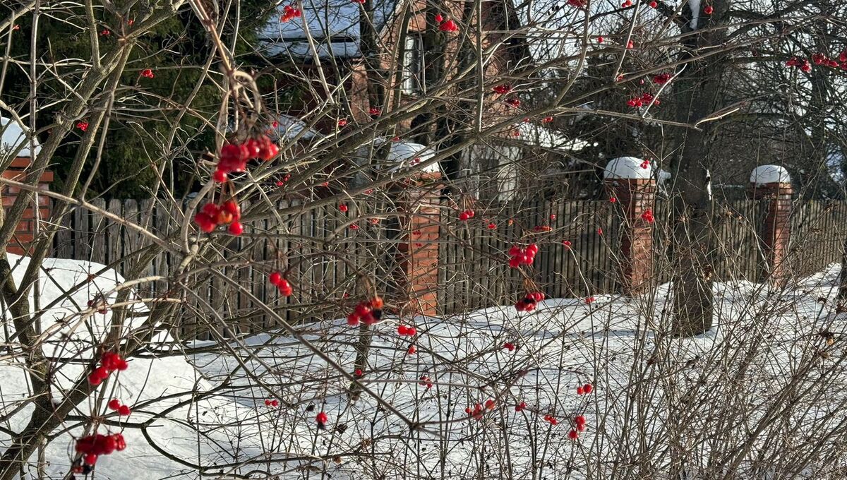 Этого ни в коем случае нельзя делать 26 марта — древняя примета к несчастью