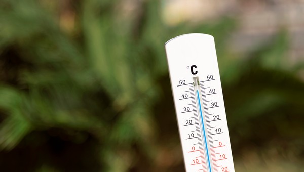 От жары до холода: синоптик Вильфанд рассказал о погоде в мае
