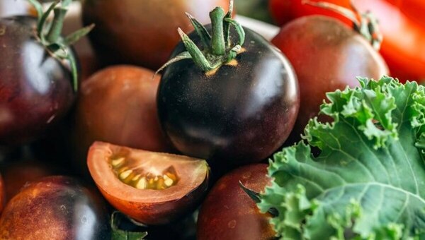 Эти фиолетовые и чёрные сорта томатов — безумно вкусные