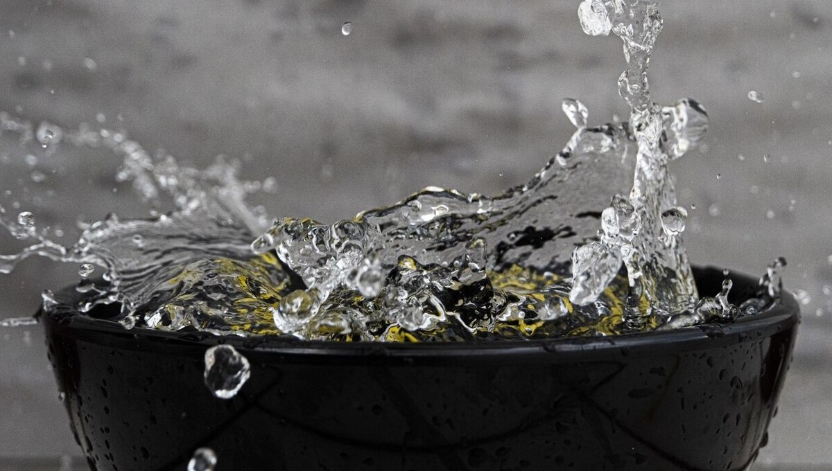 Как приготовить  «живую» воду для полива рассады