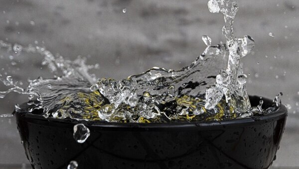 Как приготовить  «живую» воду для полива рассады