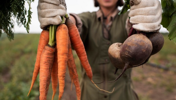Дачники, поторопитесь: в мае-2024 осталось 5 идеальных дней для посадки свёклы и моркови