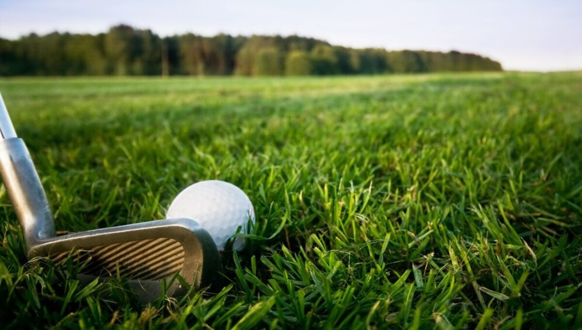 Введут ли игру в гольф в школах? В Минпросвещения всё пояснили