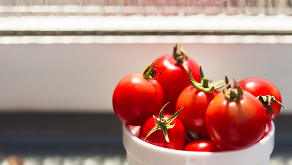 Дачник без дачи: названы лучшие сорта комнатных томатов с шокирующей урожайностью