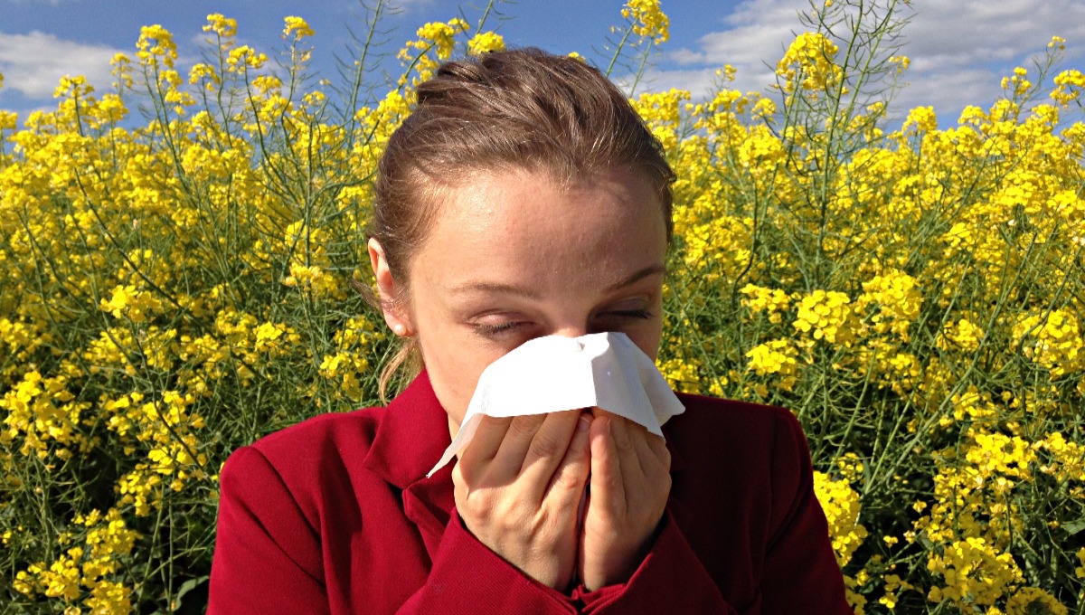 От сезонной аллергии можно сбежать, насладиться отдыхом и поправить здоровье