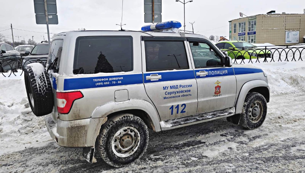 Двое молодых людей, обманувших пенсионерку, задержаны в Серпухове