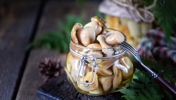 Ароматные и хрустящие маринованные маслята: опытный грибник поделился простейшим рецептом