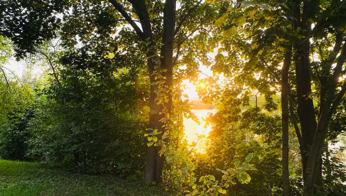 В ближайшие дни Подмосковье накроет жара