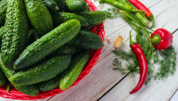 Народные сорта: топ-5 копеечных семян огурцов с колоссальной урожайностью