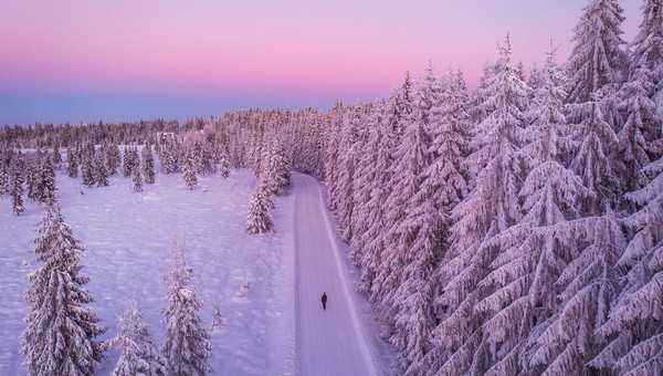 «Аномалия до марта-2025»: синоптик предупредила жителей Подмосковья