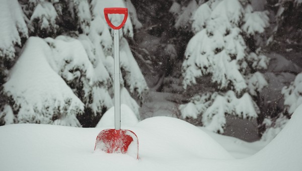 Придётся долго ждать: синоптик рассказала, когда в Подмосковье исчезнут все сугробы
