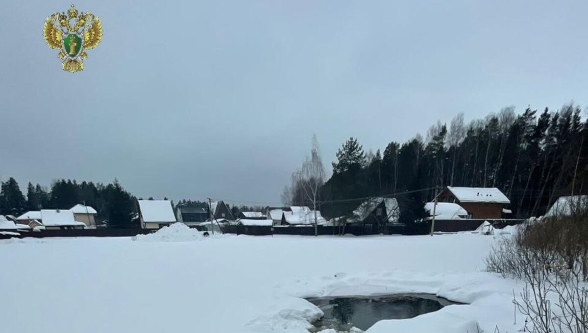 Маленький мальчик погиб рядом с домом в Подмосковье